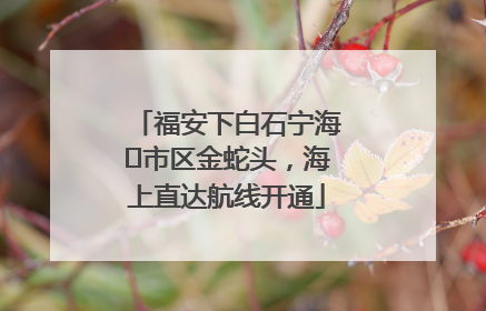 福安下白石宁海⇆市区金蛇头，海上直达航线开通