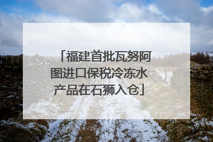 福建首批瓦努阿图进口保税冷冻水产品在石狮入仓