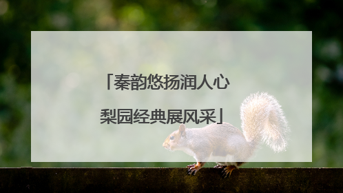 秦韵悠扬润人心 梨园经典展风采