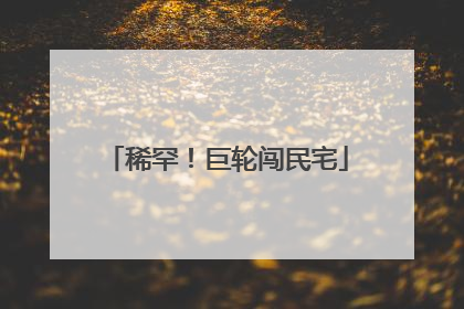 稀罕！巨轮闯民宅