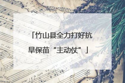 竹山县全力打好抗旱保苗“主动仗”