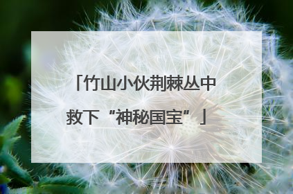 竹山小伙荆棘丛中救下“神秘国宝”