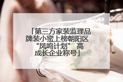 第三方家装监理品牌装小蜜上榜朝阳区 “凤鸣计划” 高成长企业称号