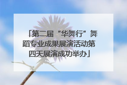 第二届“华舞行”舞蹈专业成果展演活动第四天展演成功举办