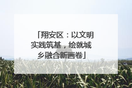 翔安区：以文明实践筑基，绘就城乡融合新画卷