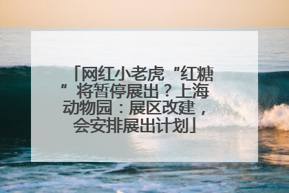 网红小老虎“红糖”将暂停展出？上海动物园：展区改建，会安排展出计划