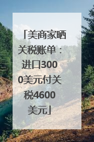 美商家晒关税账单：进口3000美元付关税4600美元