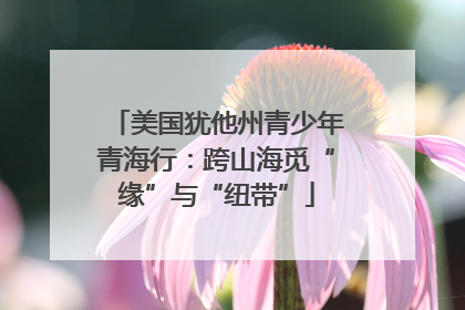 美国犹他州青少年青海行：跨山海觅“缘”与“纽带”