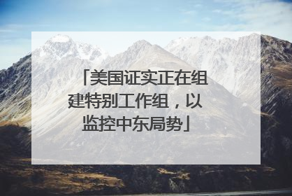 美国证实正在组建特别工作组，以监控中东局势