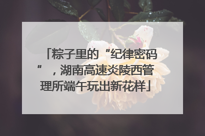 粽子里的“纪律密码”，湖南高速炎陵西管理所端午玩出新花样