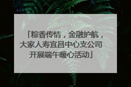 粽香传情，金融护航，大家人寿宜昌中心支公司开展端午暖心活动