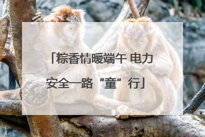 粽香情暖端午 电力安全一路“童”行