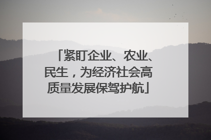 紧盯企业、农业、民生，为经济社会高质量发展保驾护航