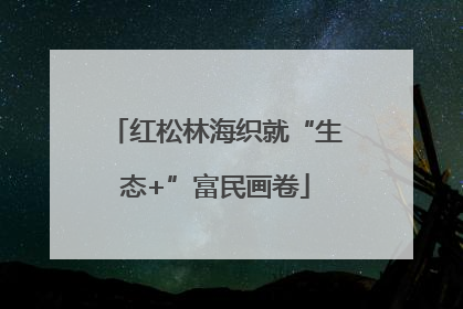 红松林海织就“生态+”富民画卷