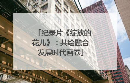 纪录片《绽放的花儿》：共绘融合发展时代画卷