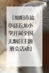 绵阳市盐亭县五龙小学开展全国无烟日主题班会活动