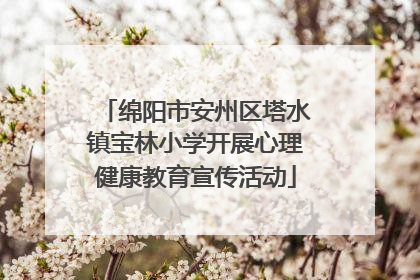 绵阳市安州区塔水镇宝林小学开展心理健康教育宣传活动