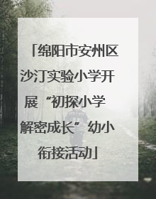 绵阳市安州区沙汀实验小学开展“初探小学 解密成长”幼小衔接活动