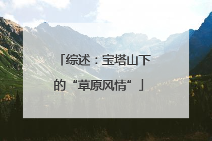 综述：宝塔山下的“草原风情”