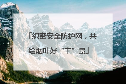 织密安全防护网，共绘烟叶好“丰”景