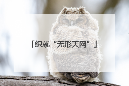织就“无形天网”