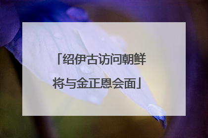绍伊古访问朝鲜 将与金正恩会面