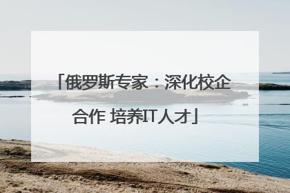 俄罗斯专家：深化校企合作 培养IT人才