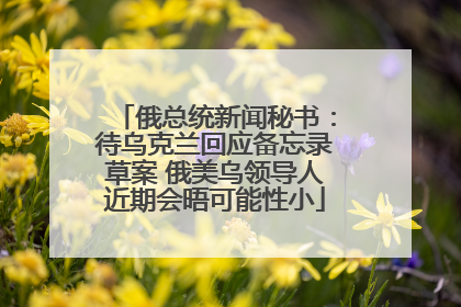 俄总统新闻秘书：待乌克兰回应备忘录草案 俄美乌领导人近期会晤可能性小
