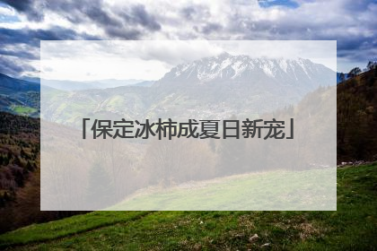 保定冰柿成夏日新宠