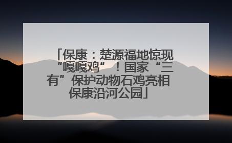 保康：楚源福地惊现“嘎嘎鸡”！国家“三有”保护动物石鸡亮相保康沿河公园