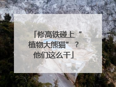 修高铁碰上“植物大熊猫”？他们这么干
