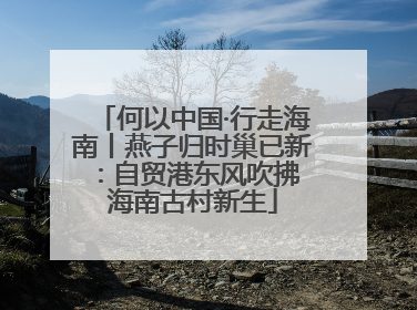 何以中国·行走海南丨燕子归时巢已新：自贸港东风吹拂 海南古村新生