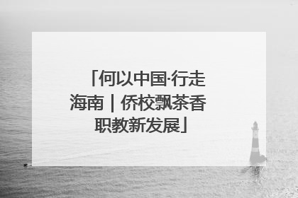 何以中国·行走海南|侨校飘茶香 职教新发展