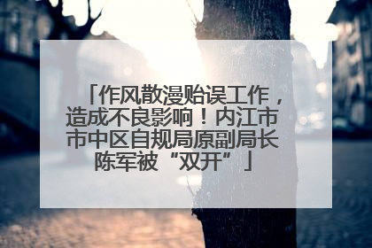 作风散漫贻误工作，造成不良影响！内江市市中区自规局原副局长陈军被“双开”