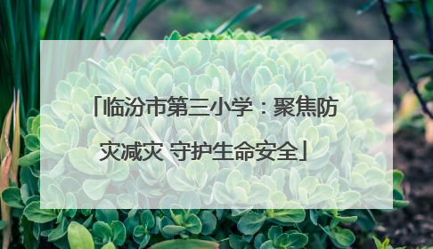 临汾市第三小学：聚焦防灾减灾 守护生命安全