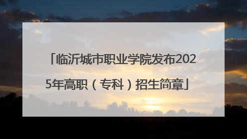 临沂城市职业学院发布2025年高职（专科）招生简章