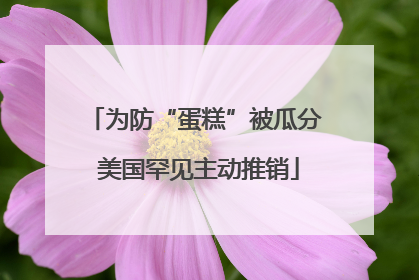 为防“蛋糕”被瓜分 美国罕见主动推销