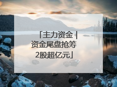 主力资金｜资金尾盘抢筹2股超亿元