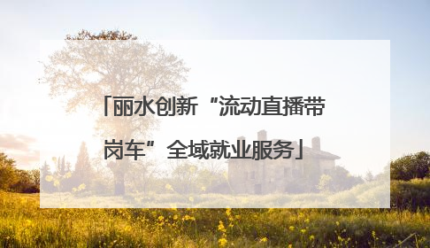 丽水创新“流动直播带岗车”全域就业服务