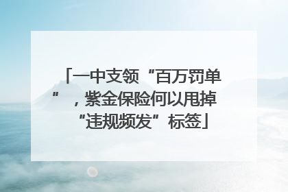 一中支领“百万罚单”，紫金保险何以甩掉“违规频发”标签