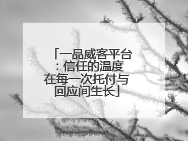 一品威客平台：信任的温度 在每一次托付与回应间生长