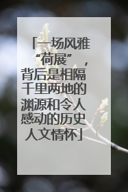 一场风雅“荷展”，背后是相隔千里两地的渊源和令人感动的历史人文情怀
