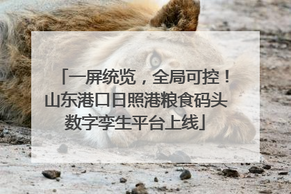 一屏统览，全局可控！山东港口日照港粮食码头数字孪生平台上线