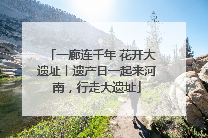 一廊连千年 花开大遗址丨遗产日一起来河南，行走大遗址