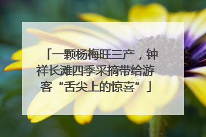 一颗杨梅旺三产，钟祥长滩四季采摘带给游客“舌尖上的惊喜”