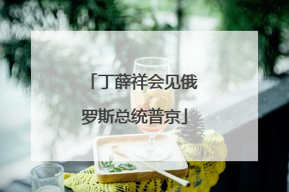 丁薛祥会见俄罗斯总统普京