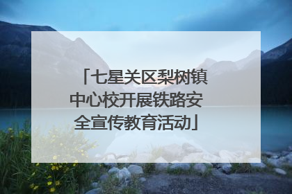 七星关区梨树镇中心校开展铁路安全宣传教育活动