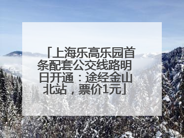 上海乐高乐园首条配套公交线路明日开通：途经金山北站，票价1元