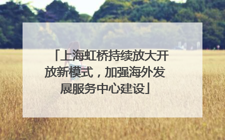 上海虹桥持续放大开放新模式，加强海外发展服务中心建设