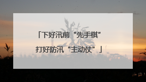 下好汛前“先手棋” 打好防汛“主动仗”